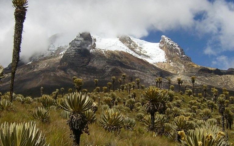 Cerro Tusa Resort And Residences Nevado Del Tolima 2 0